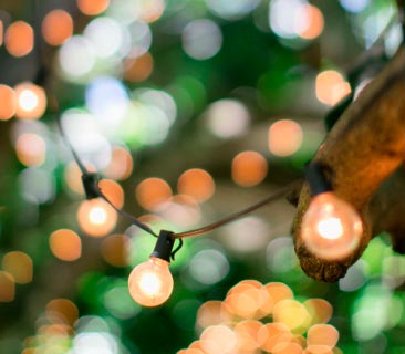 magic lighting in the garden