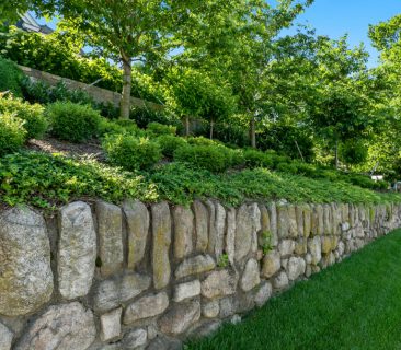 Masonry and paving your backyard